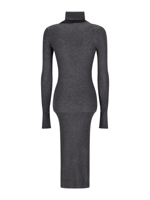 RIBBED TURTLENECK DRESS
